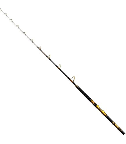 Amazon | シマノ(SHIMANO) 船竿 24 チェルマーレ 泳がせ H170 | シマノ