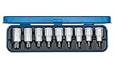 Gedoreドライバーセット1/2 "9個のピンITX 19のB-PMとTORX T20-60