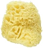 海綿スポンジ ハニコム種(幼児&女性ボディ用)