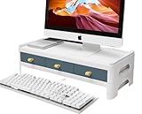 Apaeoflパソコン台 モニター台 机上台 2段式 プリンタ台 pc キーボード収納便利 コンパクト ブルー 家庭用 オフィス (ブルー二重層)