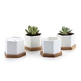 T4U 7.2CM 陶器鉢 6サイズ 植木鉢 多肉植物 サボテン鉢 白 4個入り
