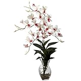 Nearly Natural 1292-WH Dendrobium Orchid with Vase Arrangement, White [並行輸入品]