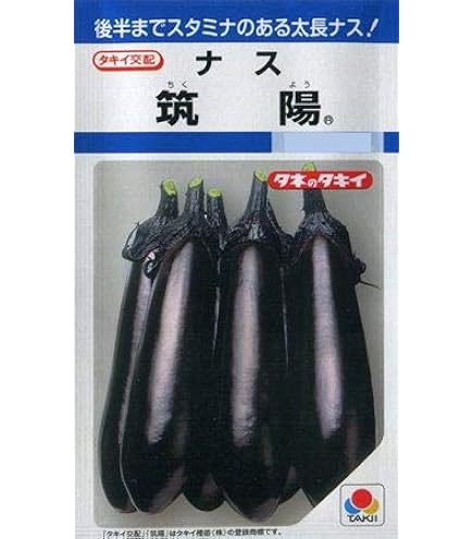 なすび2 Zara Chunky Lace Up Sneakers Man 2249/420/802 Gray – Level Shoes