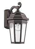 Chloe Lighting CH22019RB13-OD1 'Telsa' Transitional 1-Light Rubbed Bronze Outdoor Wall Sconce 13' He