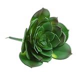 Homyl 全１６タイプ選ぶ　かわいい　プラスチック多肉植物　造花　人工植物　DIY　飾り付け　インテリア　生活を彩る　 - タイプ16