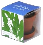 タイニィタイニィプラント サラダホウレンソウ