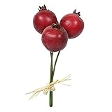 ザクロピック(3本) FXFPB0006OR