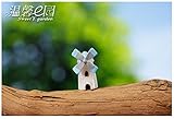 Generic wholesale~10Pcs windmill/fairy garden gnome/moss terrarium home decor/crafts/bonsai/bottle g