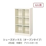 シューズボックス　BS-SP6H2(N) 井上金庫
