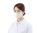 2plyペｰパｰフィルタｰマスク100枚 / 8-5655-01