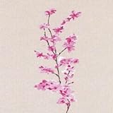 22304112 – FleurローズAlors Mur Casadeco Fond D 'écran壁画