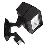 RAB Lighting FFLED18MS 18W Cool LED with Mini Sensor, Bronze [並行輸入品]