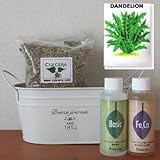 ダンデライオンの栽培セット/豊作セット（液体肥料付き）プランターホワイト仕様