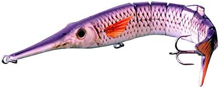 ballyhoo fish