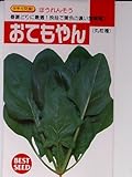 おてもやん　タキイのほうれん草種です