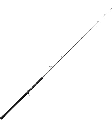 Amazon | ダイワ(DAIWA) ジギングロッド SALTIGA R J63B-2 LO | DAIWA
