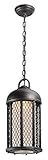 Troy Lighting Signal Hill 1-Light Outdoor Pendant - Aged Silver Finish with Clear Frosted Glass Shad