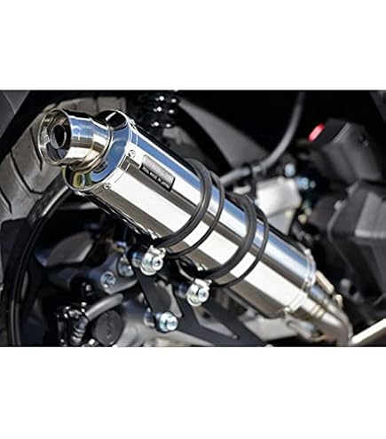 Amazon | ビームス (BEAMS) SS400 SMB SP JMCA認定 フォルツァ MF08
