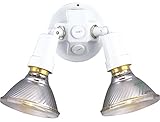 Progress Lighting P5207-20 2 Painted Adjustable Swivel Floodlights, Antique Bronze [並行輸入品]