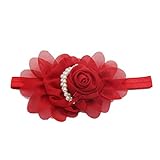 Hollazilla(ホラズイラ) 女児 シフォン 真珠 頭箍 薔薇 リボン 撮影 道具 真珠 花 髪飾り ティアラ