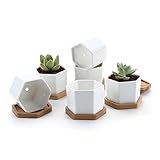 T4U 7.2CM 陶器鉢 6サイズ 植木鉢 多肉植物 サボテン鉢 白 6個入り