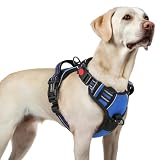 [最新型犬ハーネス]rabbitgoo 犬 ハーネス 犬用胴輪 小型犬/中型犬/大型犬 引っ張り防止 サイズ調整可能 アタマを通さず 夜間反射材 抜けない 通気性 咳き込み防止 歩行補助ハーネス 老犬 介護用品 散歩 しつけ用 ソフト 抜けない 通気性 簡単着脱 おしゃれ 安全 しつけ用 訓練 歩行補助 散歩(ブルー L）