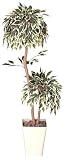 TREE-c/光触媒 鉢植え 造花 斑入りベンジャミンダブル120cm 192A17028