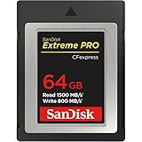 SanDisk 64GB CFexpress TypeB カード Extreme Pro サンディスク SDCFE-064G-ANCNN [並行輸入品]