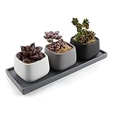 T4U 7CM 陶器鉢 ミニスクエア2号 多肉植物、サボテン鉢 マット3色セット 各セラミックトレイ付き 3点入り