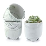 T4U 6CM アイスクリームシリーズ 多肉植物、サボテン鉢 フラワーポット プランター容器 グリーン 3個セット