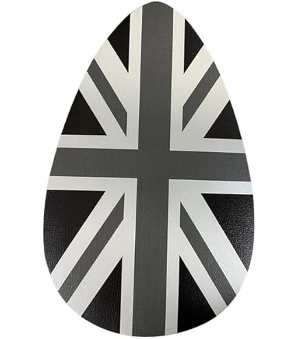 ローバーミニ　パディホプカーク　スカッフプレート ローバーミニ パディホプカーク スカッフプレート ローバーミニ