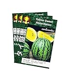 スイカ 西瓜 黄 Yellow Watermelon 3 pack タイ庭園 Thai Garden
