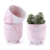 T4U 6CM アイスクリームシリーズ 多肉植物、サボテン鉢 フラワーポット プランター容器 ピンク 3個セット