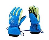 3 – 8 Years Old子供のアウトドア手袋防風と防水スキーgloves-bl