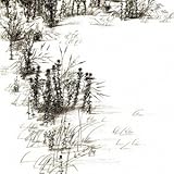 �W���j���A���[