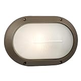 Galaxy Lighting 320240BZ Oval Marine Outdoor Wall Light [並行輸入品]