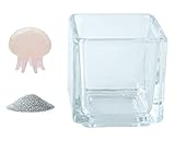 花市場直送便 ミニチュアガラス 蓄光クラゲ ピンク & カラーサンド シルバー & 植え込み用グラス ニューブロックS