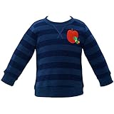 2017年 秋冬 はらぺこあおむし パイル起毛 ボーダー 長袖トレーナー THE WORLD OF ERIC CARLE ネイビー◇90cm