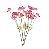 Bulary 造花　人工観賞植物　桜草　インテリア プレゼント 室内　5本セット　４色から選べる