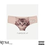 Thundercat [Explicit]