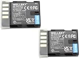 WELLSKY DMW-BLF19 / BP-61 / DMW-BLF19E 2個 互換バッテリー [ 純正充電器で充電可能 残量表示可能 純正品と同じよう使用可能 ] パナソニック ルミックス シグマ