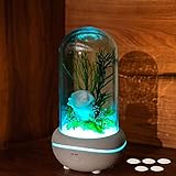 ホワイトデー プレゼントアロマディフューザープリザーブドフラワープレゼント Lechin 造花 バラ 枯れない花 生花 ドームアレンジ 母の