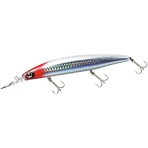 Amazon.co.jp: ダイワ(DAIWA) ショアラインシャイナーZ セットアッパー