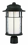 Trans Globe Lighting 5294 RT 16-1/2-Inch 1Light Outdoor Medium Post Top Lantern, Rust [並行輸入品]