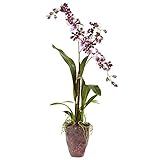 Home Indoor Decorative Tabletop Dancing Lady with Textured Vase