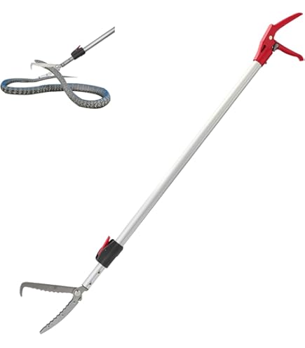 最強波動☆白蛇遣い☆モナカ様　ご確認用ページ 白蛇護符【数量限定】 | FORTUNER