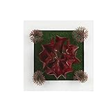 (ライチ) Lychee かわいい 造花 壁掛け式 シミュレーション 植物 観葉植物 ホームデコレーション 壁飾り インテリア 雑貨 お店 オフィス パーティー 装飾