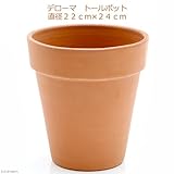 デローマ トールポット 直径22cm×24cm