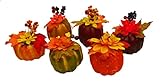 セットof 6ブラックDuckブランド人工装飾Harvest 4 " Pumpkins / Gourds Fall Halloweenデコレーション Set of 6 オレンジ G15679-set