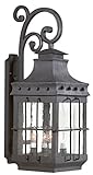 Troy Lighting Dover 4-Light Outdoor Wall Lantern - Natural Bronze Finish with Clear Seeded Glass [並行